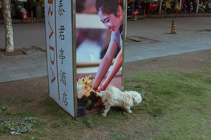 11111620_432311566949411_5024220560278658263_o