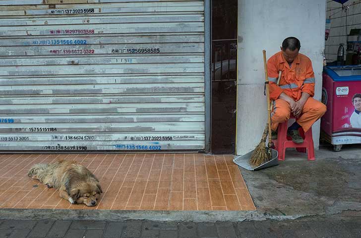 11334285_453517274828840_7547184297746697039_o