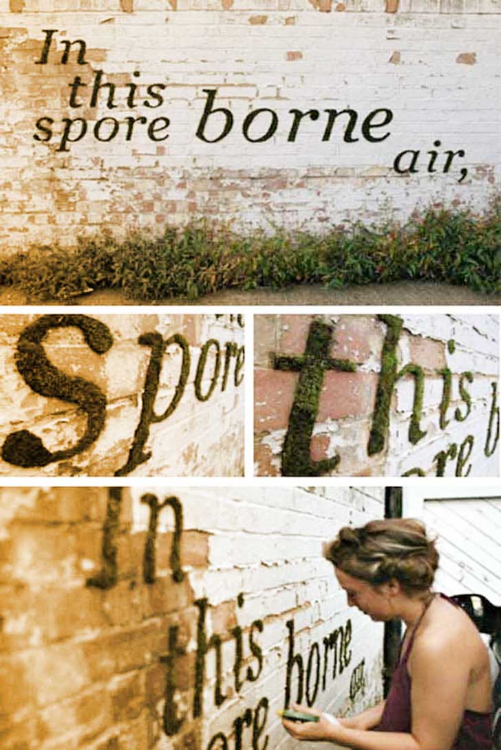 16-Moss-Graffiti-Wall-Art