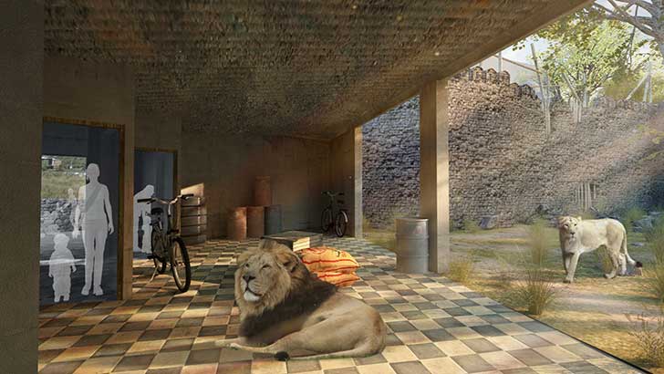 199lon-Lion-Exhibit-Zone-Visuals-070814-14