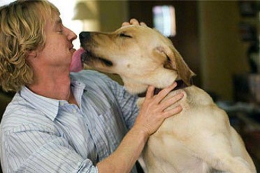 Esto es lo que ocurre en el cerebro de tu perro cada vez que ve tu cara
