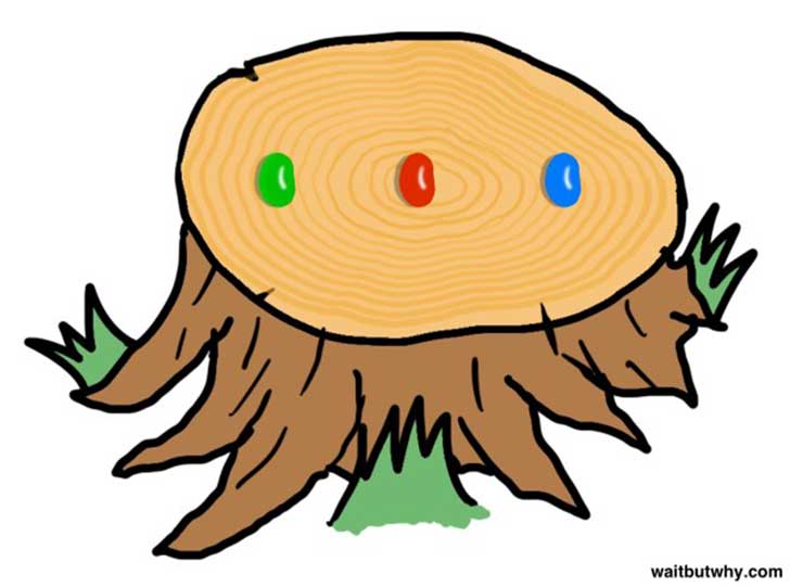 3-beans-600x446