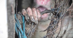 40d90dea522a1c28cbad2707c54f5bac