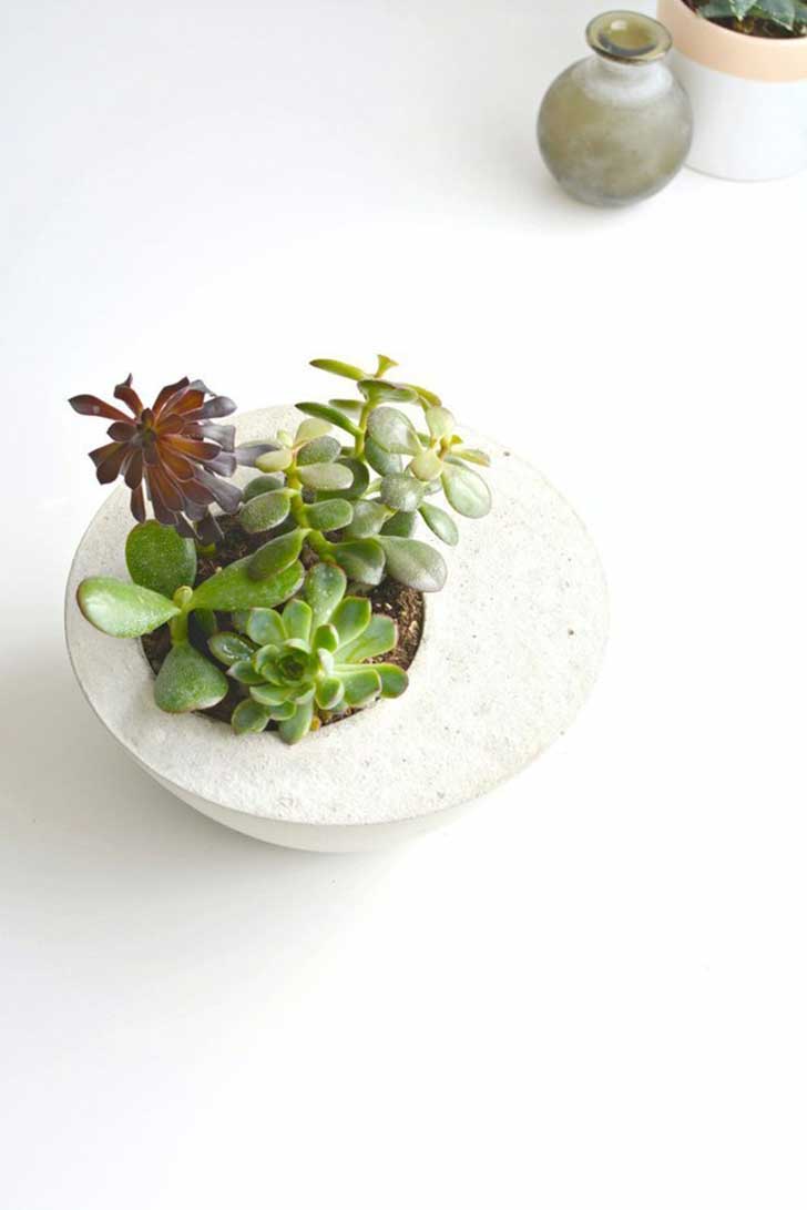 bowl