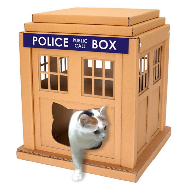 tardis
