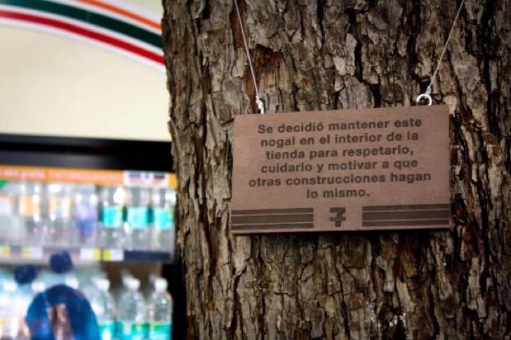 20160530112949_7_eleven_three_tree_27_620x6200