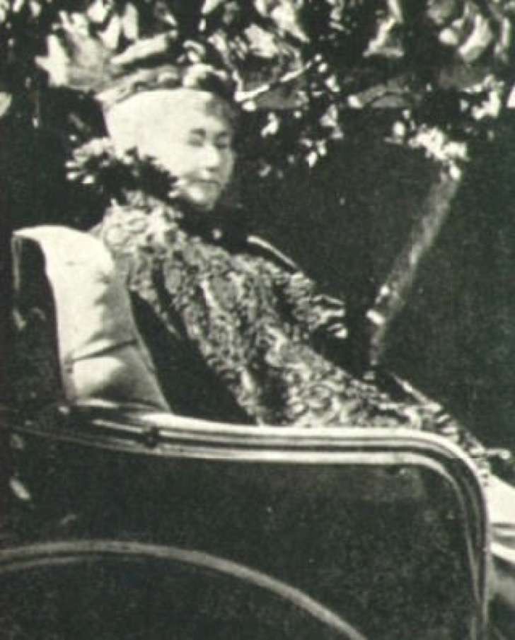 Wikimedia Commons