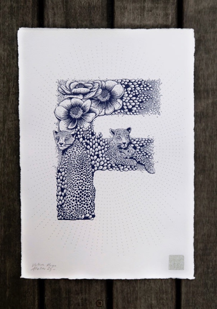 i-made-a-complete-illustrated-alphabet-57e903116acca__605