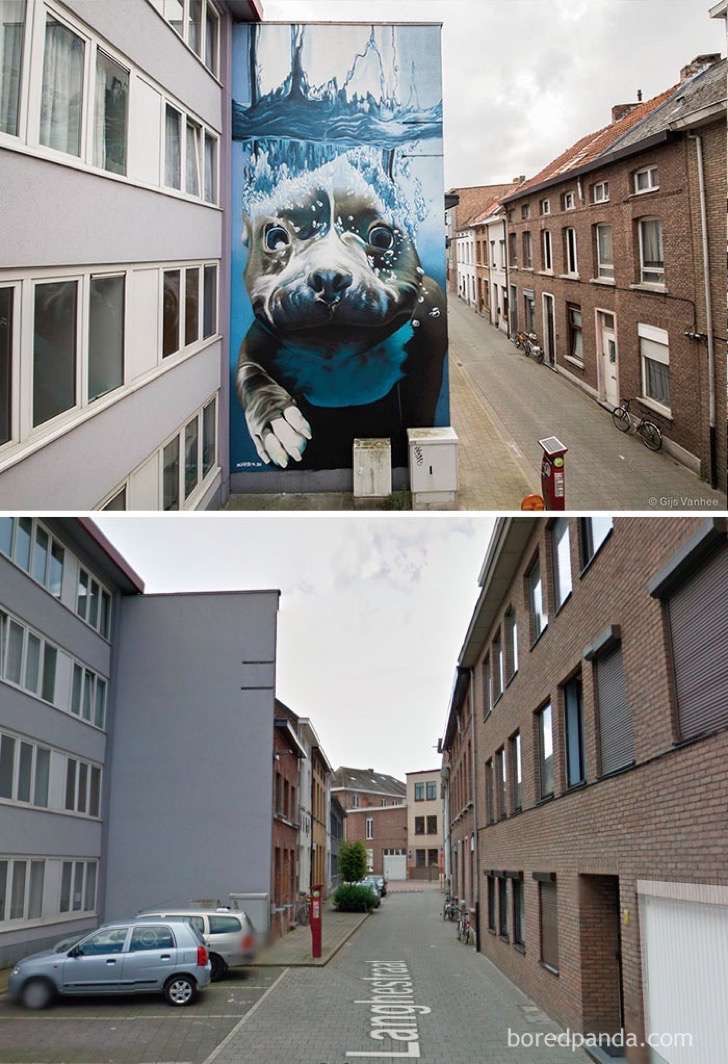 before-after-street-art-boring-wall-transformation-13-580e1bf60be7a__700-2