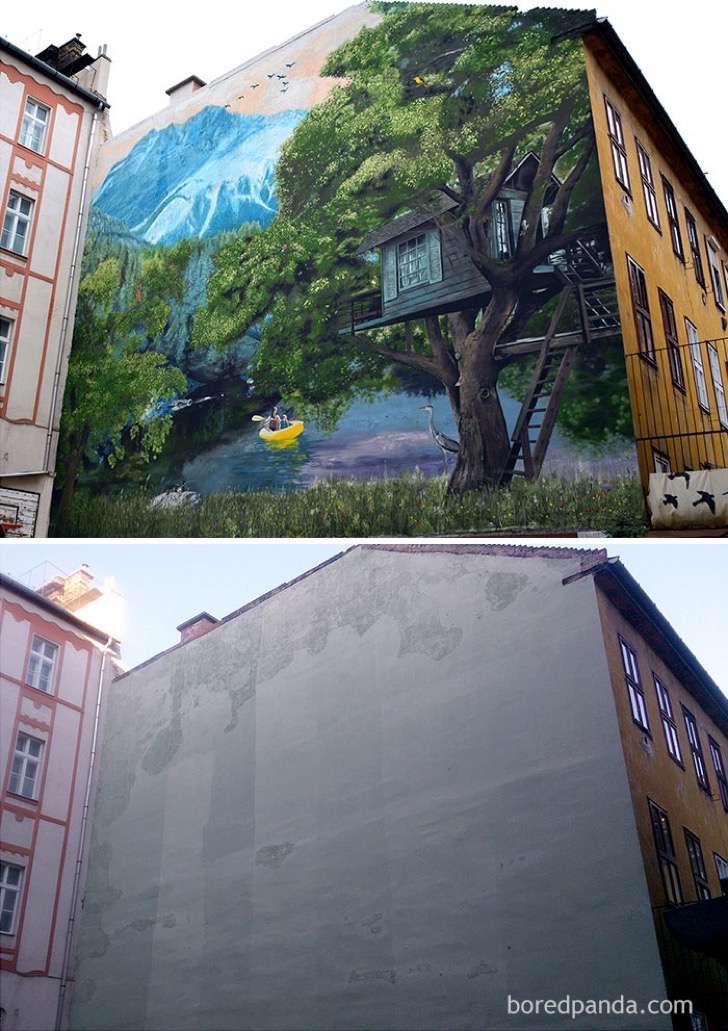 before-after-street-art-boring-wall-transformation-4-580df7afbd8e2__700-2