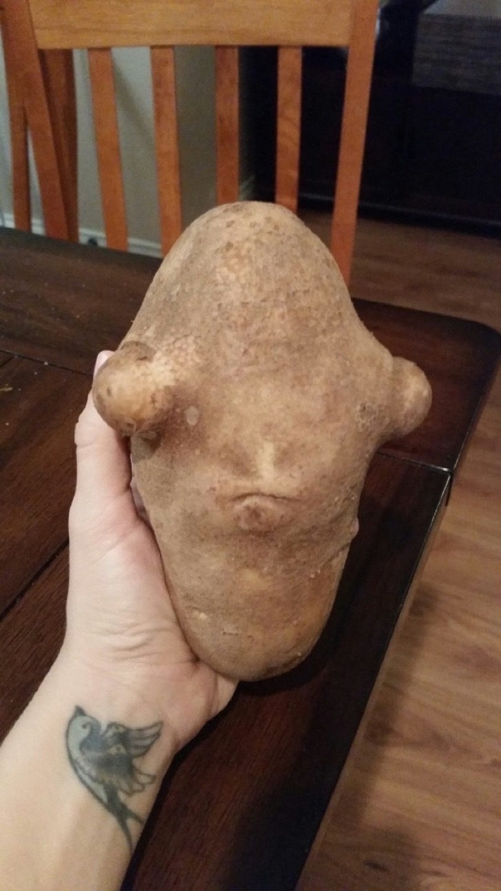 f13