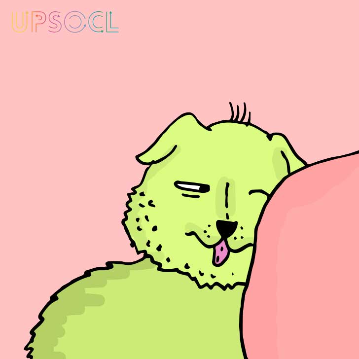 Macarena Salinas/UPSOCL