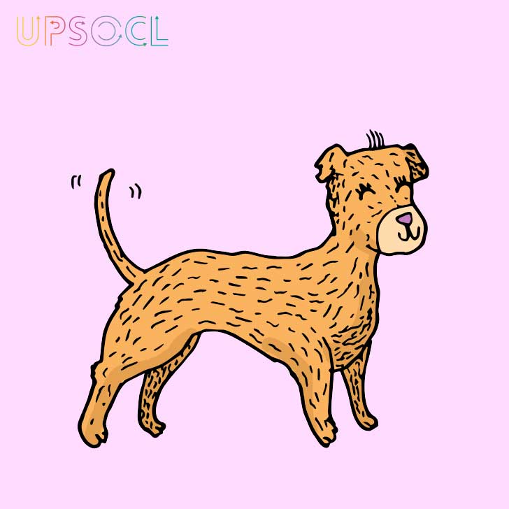 Macarena Salinas/UPSOCL