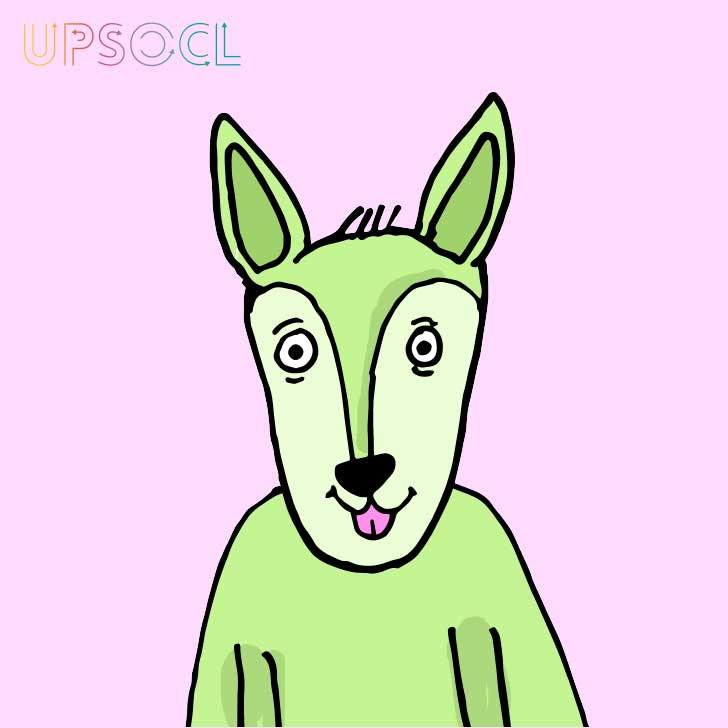 Macarena Salinas/UPSOCL