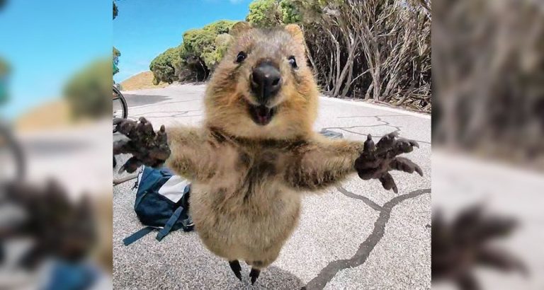 Que Tal Se Vive En Australia