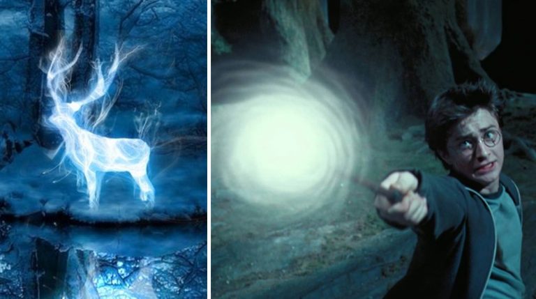 Porque El Patronus De Harry Es Igual Al De Snape