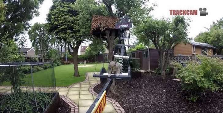 Construye pistas y hace carreras para las ardillas de su patio. Nada