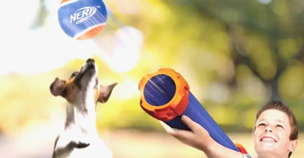 nerf para perros