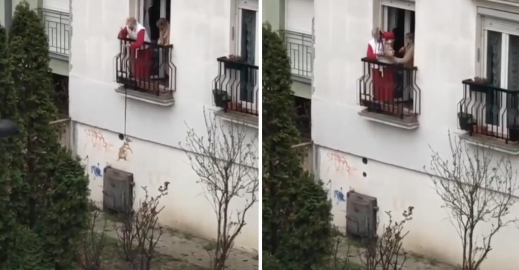 Anciana pasea a su perro desde el balcón. Lo baja y sube con la correa