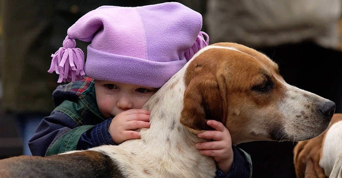 Perro Haciendo El Amor Con Mujer