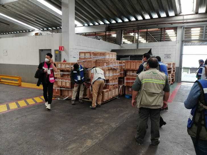 Rescatan a 15 mil tortugas en un aeropuerto de México que iban a ser exportadas ilegalmente a China image EX12HmVXsAABGbh 1