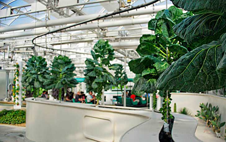 ¿Cultivo urbano? Con esta innovador jardín vertical serás la envidia de