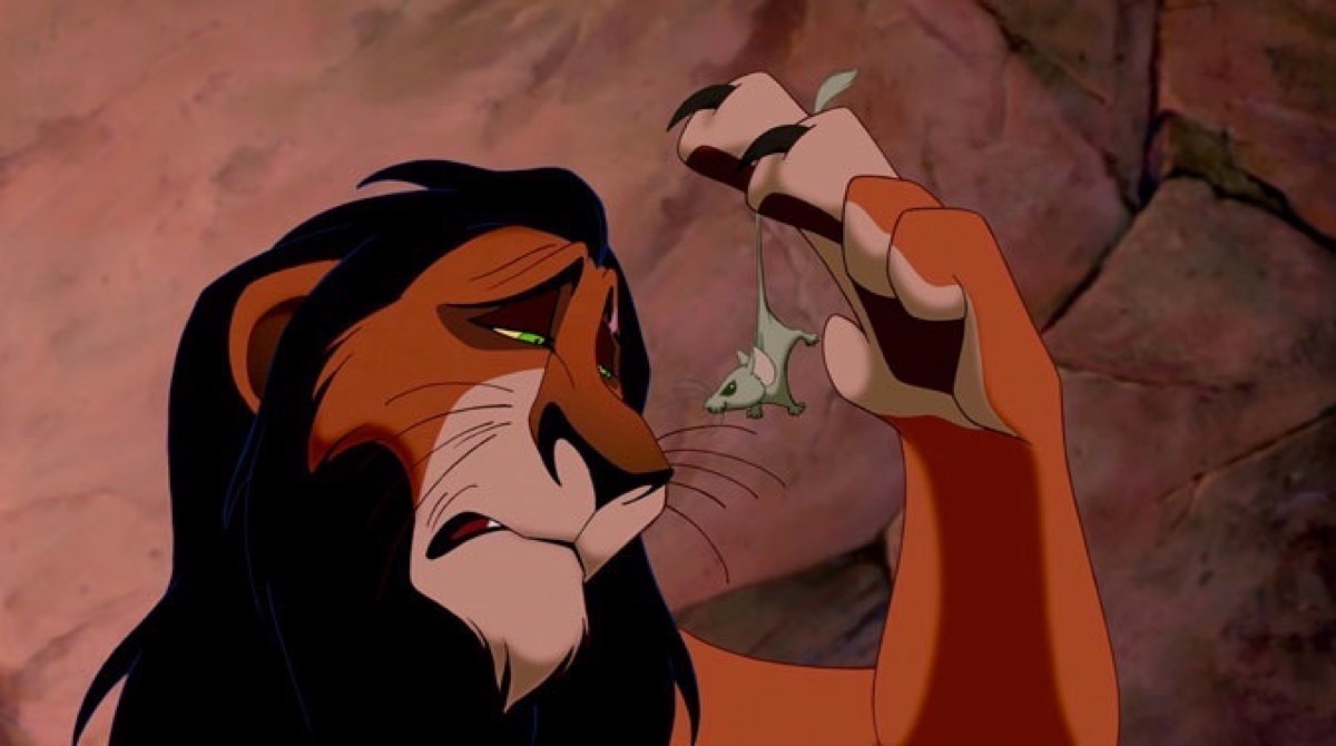 Alguna vez te preguntaste qué le pasó a Scar del Rey León? Bueno, usaron su piel para lo más cruel | Upsocl