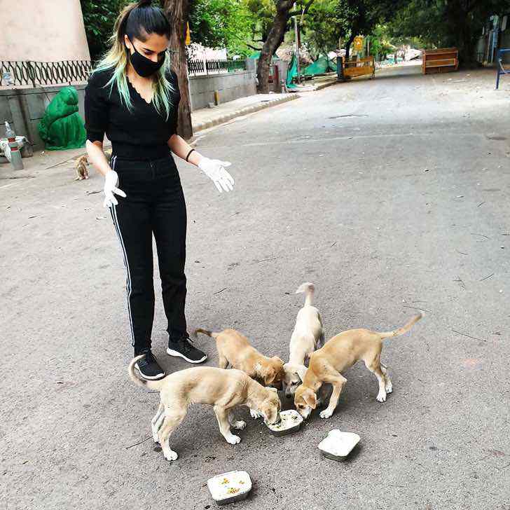 Joven alimenta a perritos callejeros durante la cuarentena en ... Joven alimenta a perritos callejeros durante la cuarentena en ...